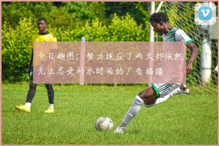 今日趣图：努力适应了两天却依然无法忍受补水时间的广告插播